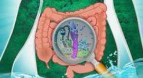 头皮排毒、肠道局排毒、淋巴排毒 这些排毒十有八九是骗