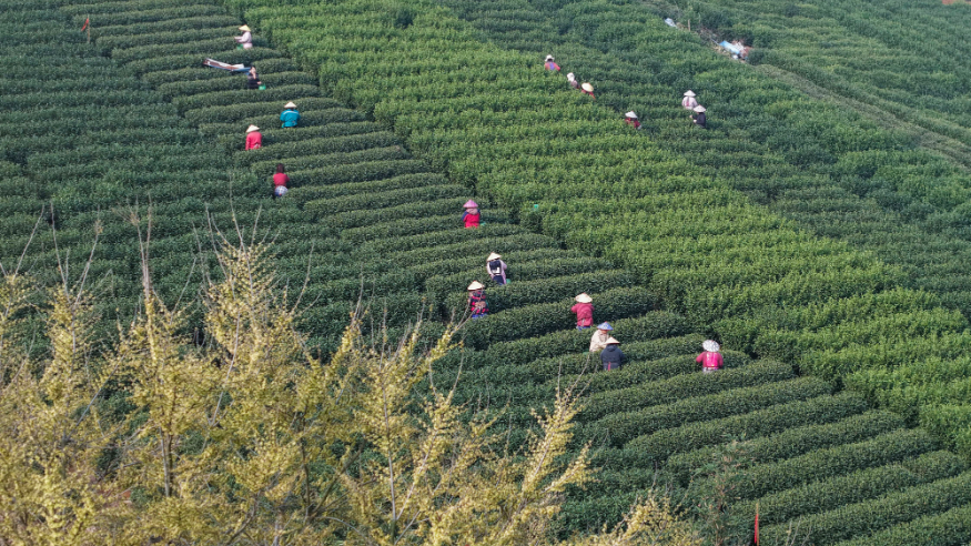 海报丨春日农耕图