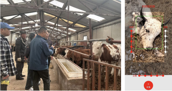 JvB1hD2toErqVlLI.png image.png