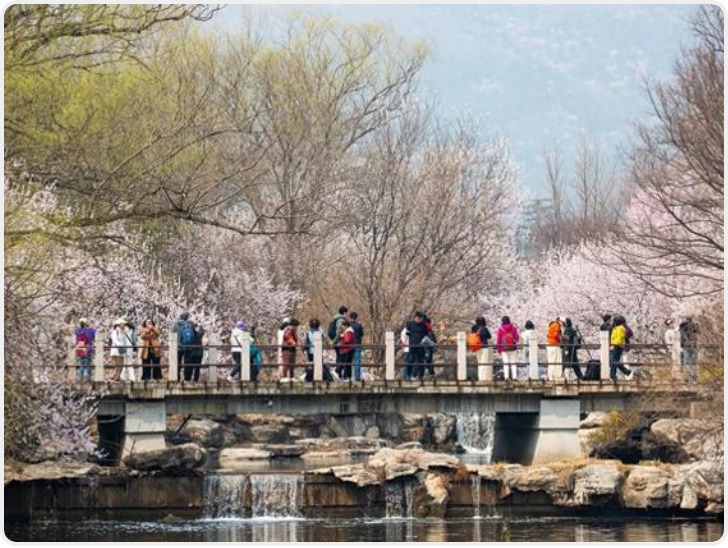 北方气温高于南方多地 近期哪些天气现象应该注意