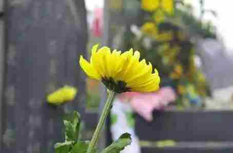 西安公安交警发布清明祭扫出行提示