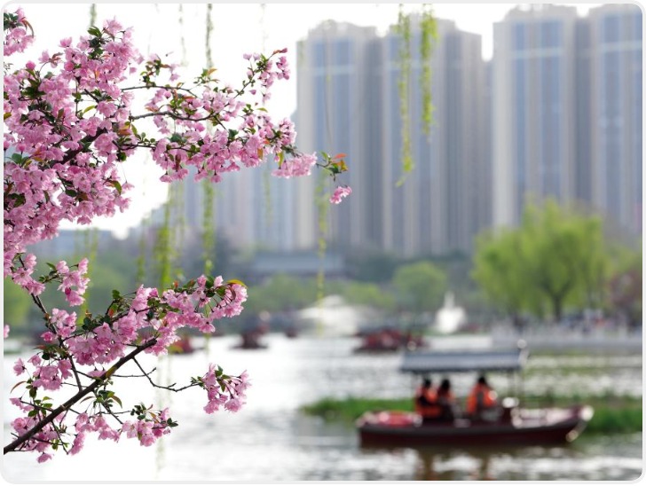 西安：兴庆池头春色浓