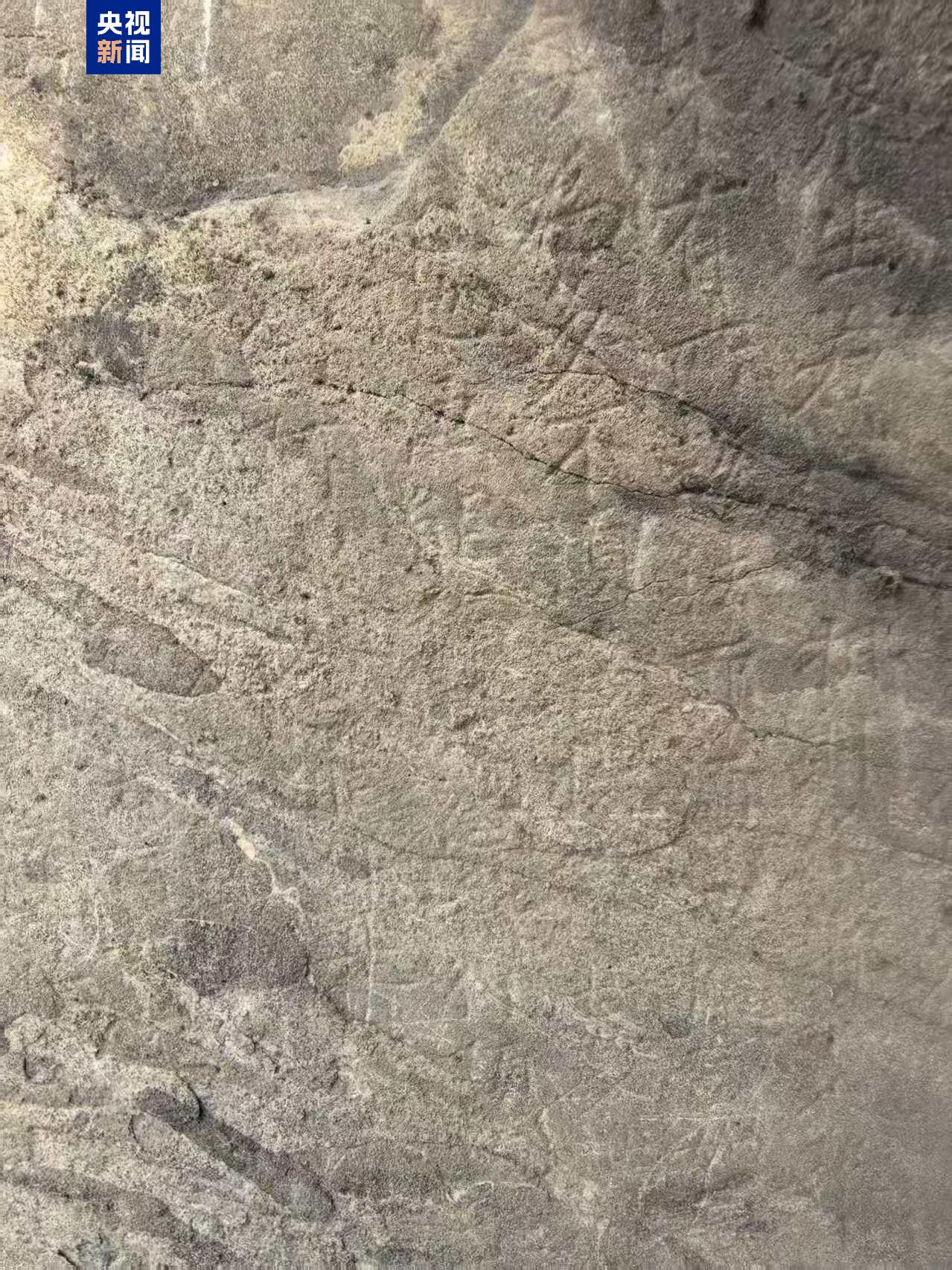 龙门石窟保护施工中新发现唐代石刻《金刚经》