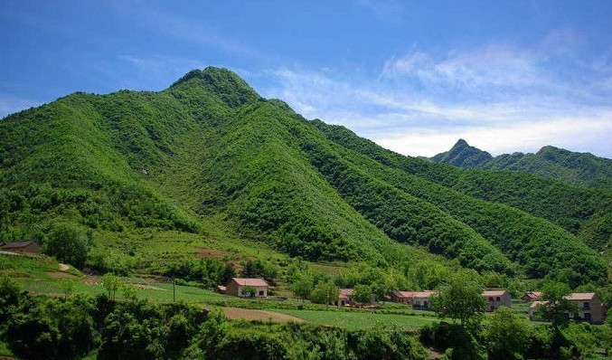 陕西修订秦岭生态环境破坏行为举报奖励机制