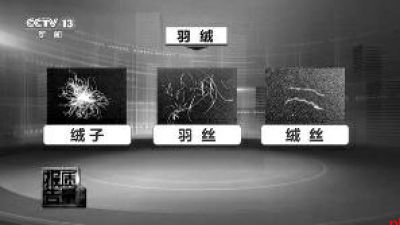 含绒量≠绒子含量 多个品牌儿童羽绒服不符合国标