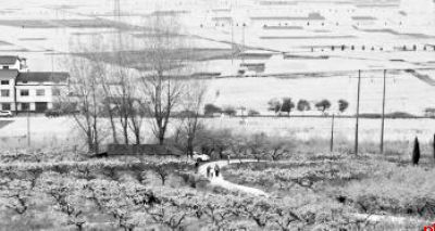 穿越花海 解锁春日限定美好