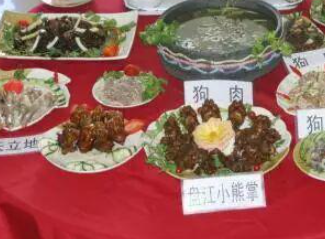 网友预订“宠物友好”酒店 店方推荐其到当地镇上吃狗肉