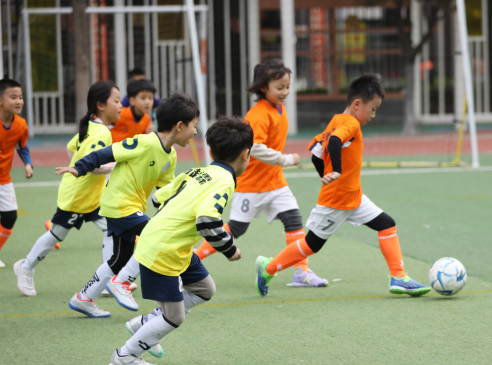 K2HcpIpTc7F5M7oI.png image.png