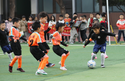 QintwZ9LT03NwhqX.png image.png