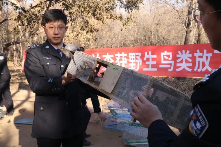 公安部通报“平安原野—2025”行动成效：挂牌督办38起大要案件