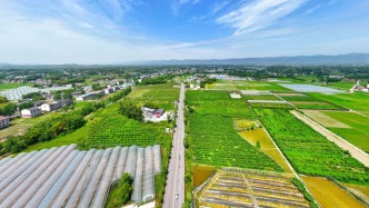 交通运输部：清明假期3天高速免收通行费