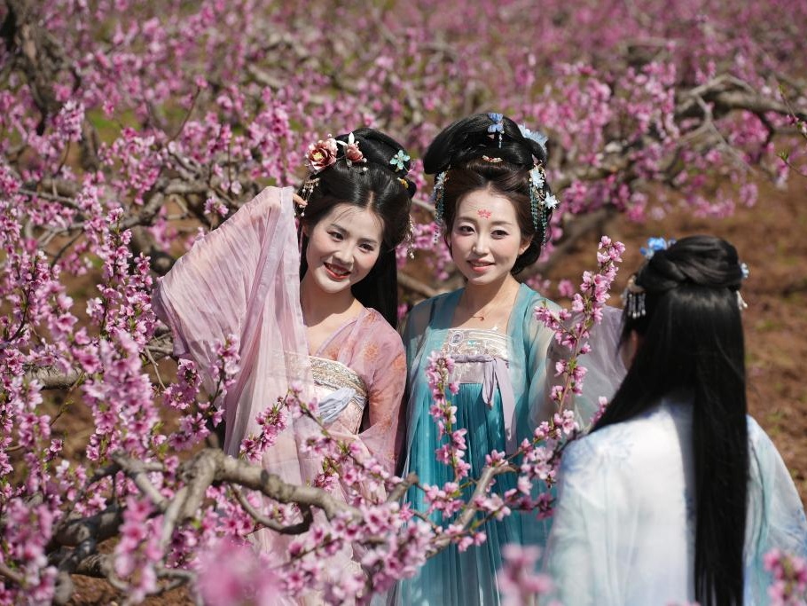 西安长安：踏春赏花正当时