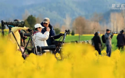 赏花观鸟游“催热”春日经济