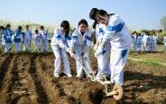 这堂劳动实践课有意义“接地气”