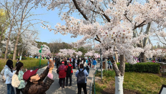 华商头条|清明节假期出游请注意 文旅部发布安全提示