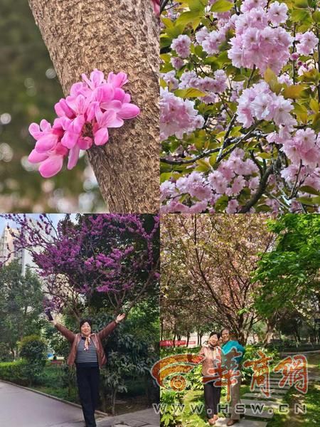 108坊故事引导辖区老年居民走出家门成为社区治理的“观察者”与“评价者”(图3)