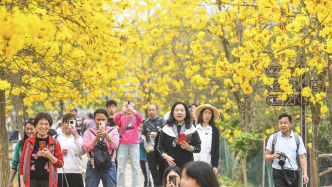 华商头条|两部门部署清明假期前后安全防范工作：加强重点场所火灾隐患排查