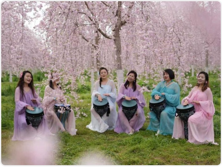 以花为媒绘就和美乡村新画卷 鄠邑区春日经济绽放活力