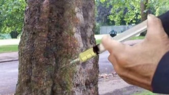 宣称“一滴即死”的杀树药网上热销：谁在为毁绿行为“递刀子”？