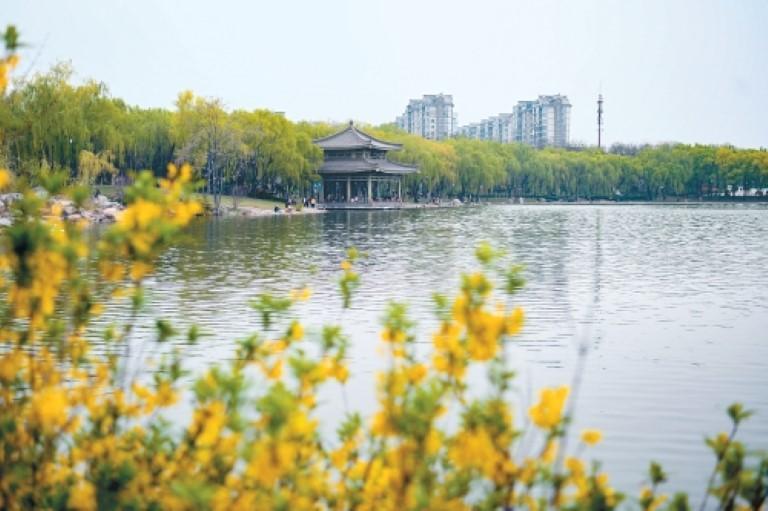 西安唐诗地理：曲江水映春光好 人人都是及第花