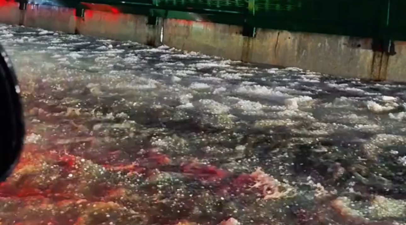 贵阳夜间突降冰雹 花溪大道路面“冰流成河” 目前路面已恢复