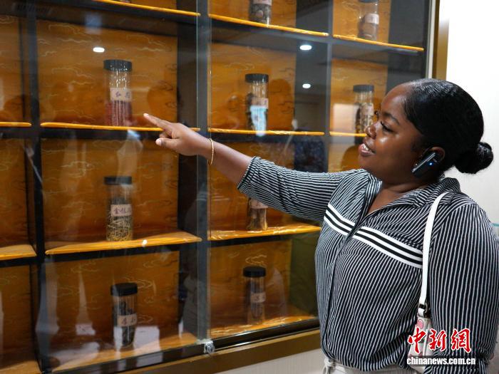 陕西西安：发展中国家代表体验中医疗法