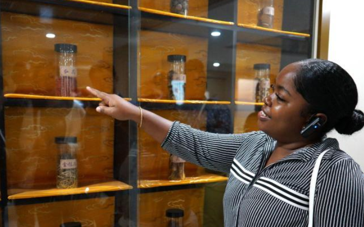 陕西西安：发展中国家代表体验中医疗法