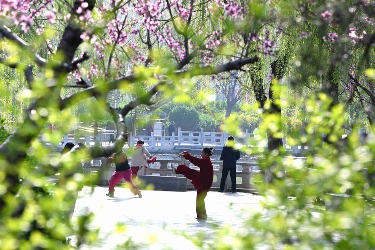 清明节为啥不“属”农历“属”公历