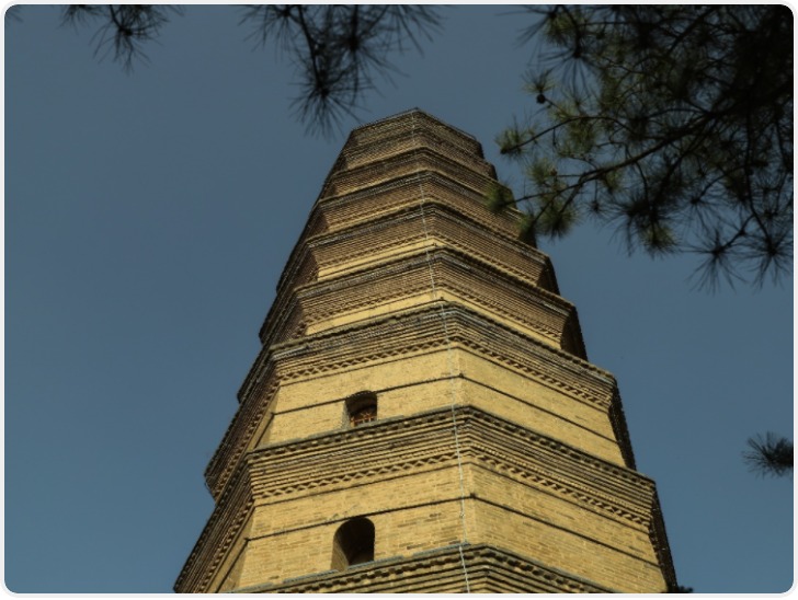 【韵润中华 和合同心】全国主流媒体走进延安汲取信仰力量 赓续文艺薪火