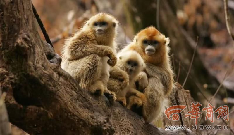 webwxgetmsgimg (10).jpg