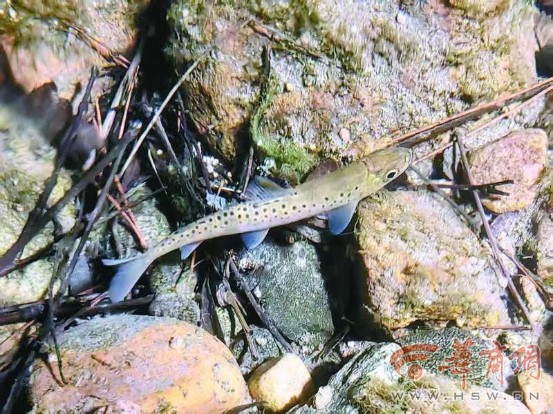 webwxgetmsgimg (15).jpg