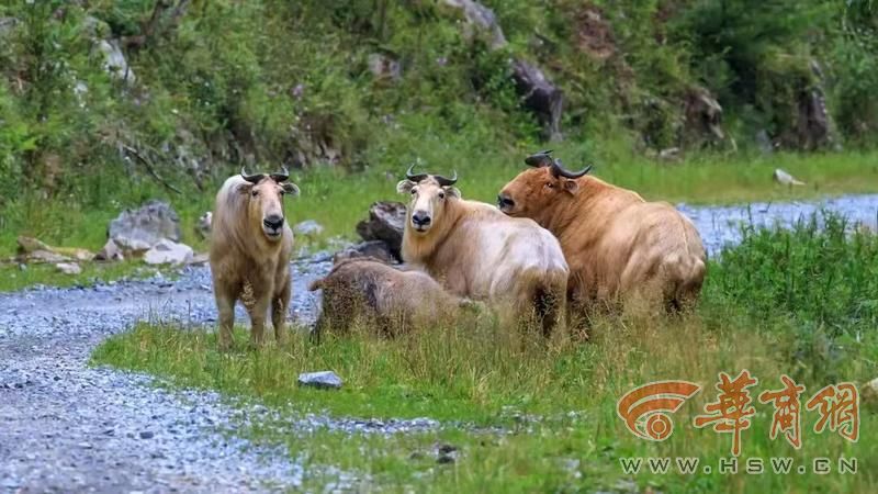 webwxgetmsgimg (12).jpg