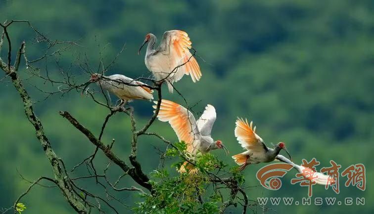 webwxgetmsgimg (9).jpg