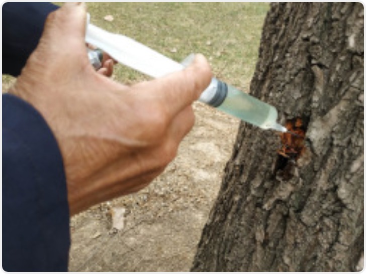 多平台下架“杀树药” 称将严格管控农药类商品