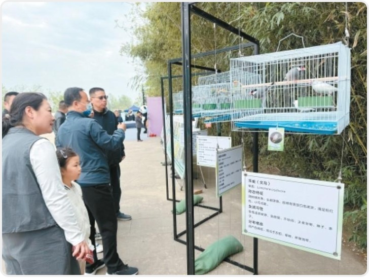 拒绝鸟类非法交易 陕西省暨西安市第45届“爱鸟周”主题活动启幕
