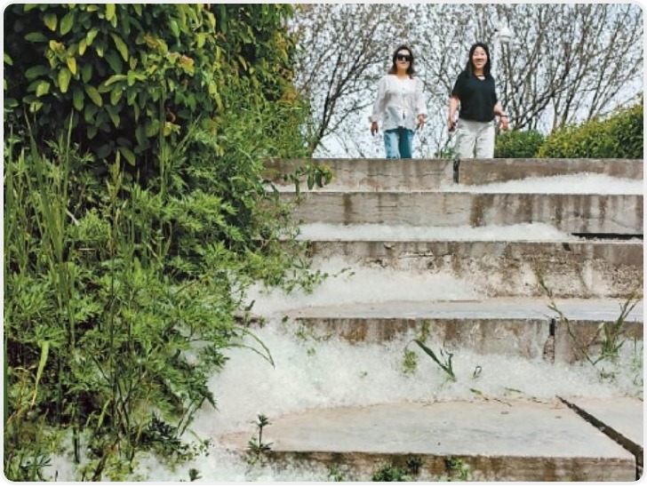 灞柳风雪：千年诗意焕新生