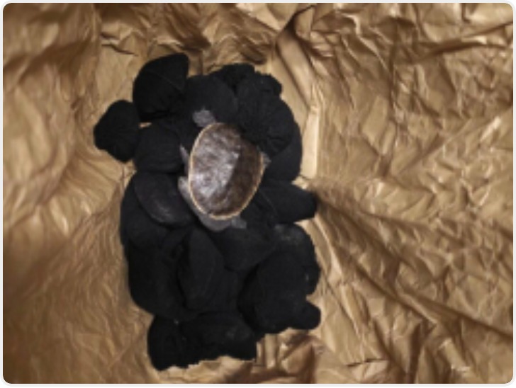 33只用袜子包裹的濒危活体龟 被上海浦东机场海关查获