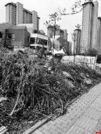 这些路段的占道等问题已核实整改