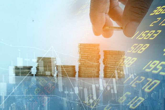 “它经济”火热 上市公司全链条“争宠”