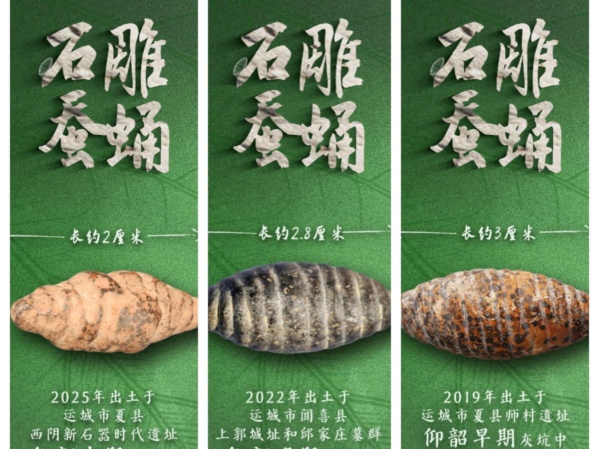 国宝画重点｜多地出土 它们是5000多年前的蚕蛹艺术品吗？