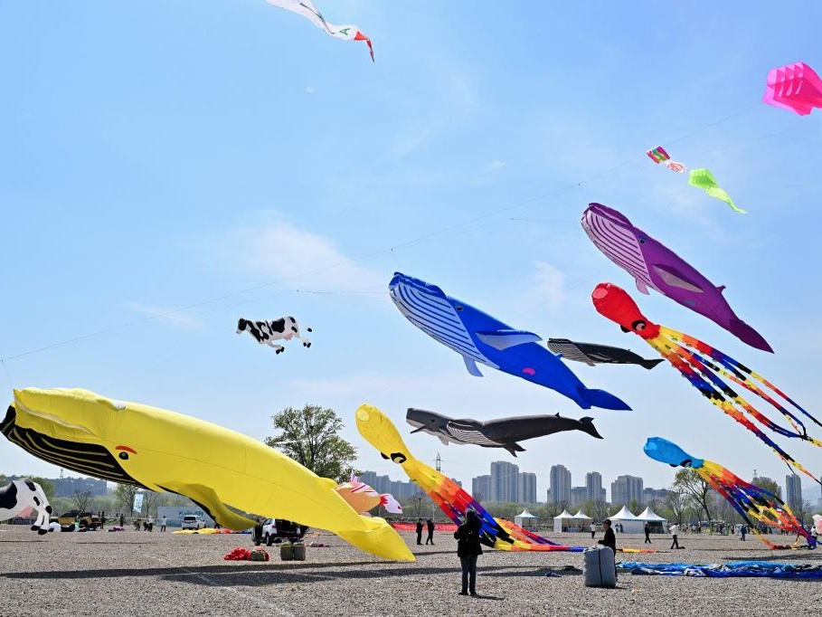 15支国内外风筝代表队齐聚北京园博园“斗鸢”