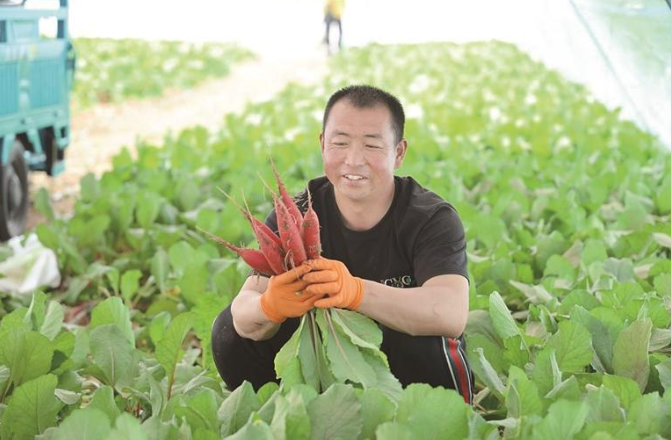 让“菜园子”变成“钱袋子”