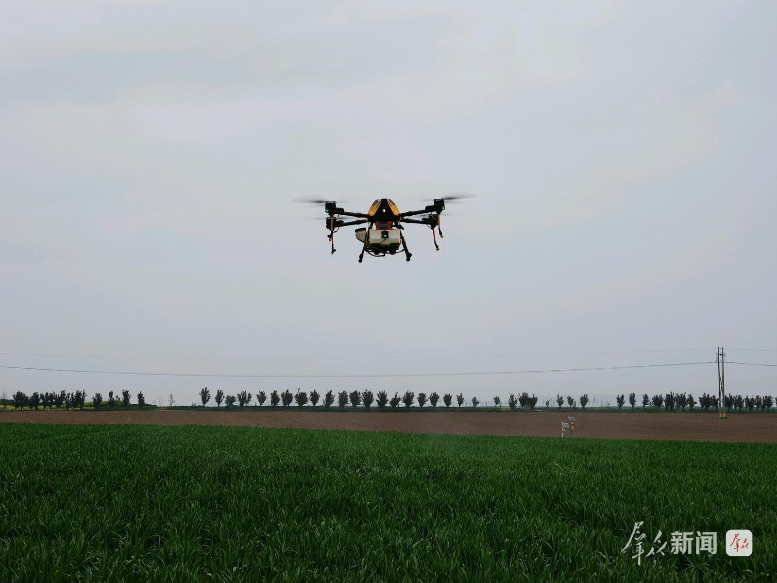 4月11日,在西安市长安区王曲街道中江兆村麦田,长丰农机专业合作社的无人机正在喷防。群众新闻记者 王海涛摄
