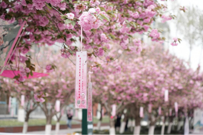 jg8IgvNEbV47FI12.png image.png