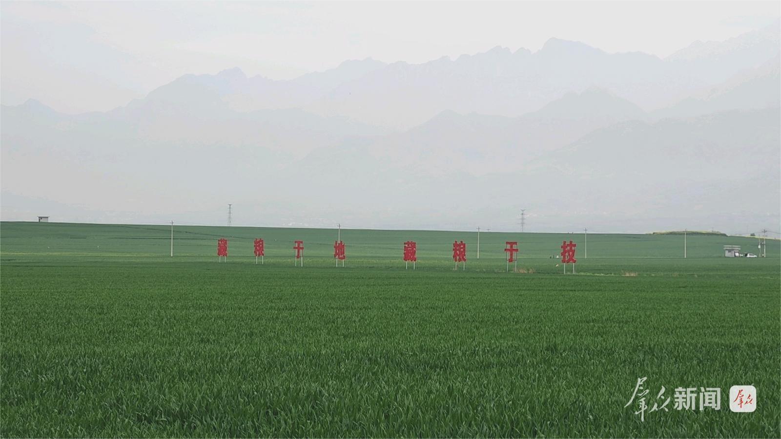 4月11日,秦岭山下的西安市长安区王曲街道中江兆村麦田,小麦长势良好,风景宜人。群众新闻记者 王海涛摄