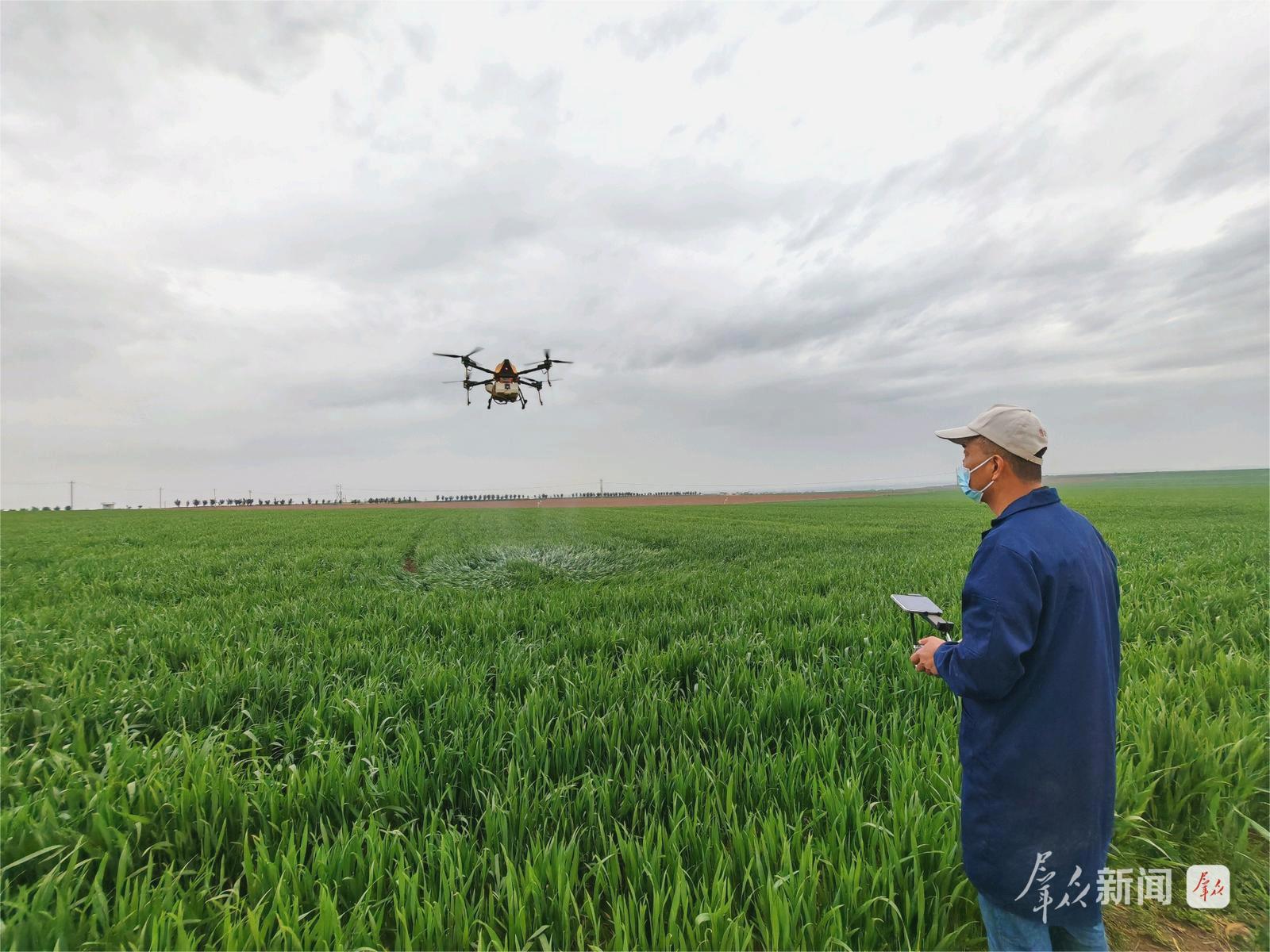 4月11日,在西安市长安区王曲街道中江兆村麦田,长丰农机专业合作社飞手正在操作无人机进行喷防。群众新闻记者 王海涛摄