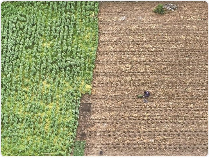 雨后初霁忙春耕