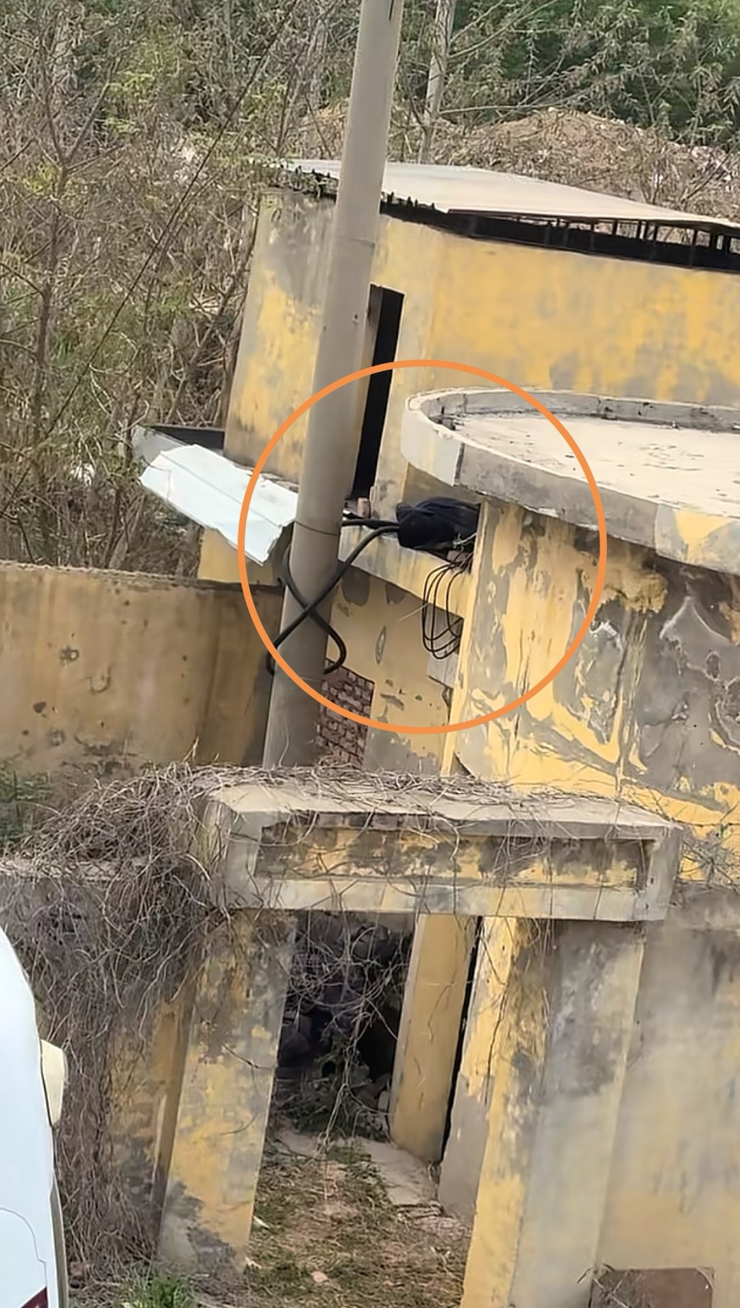 濮阳一男子疑因触电倒地一动不动 医院：尚无家属确认身份