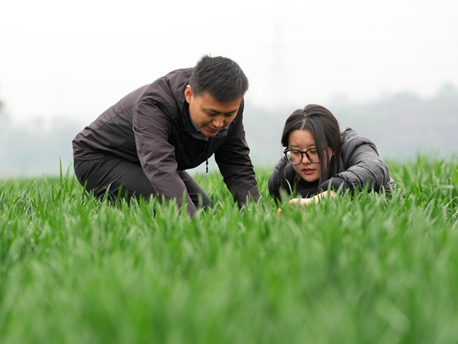 三秦“农科前哨”助农兴农