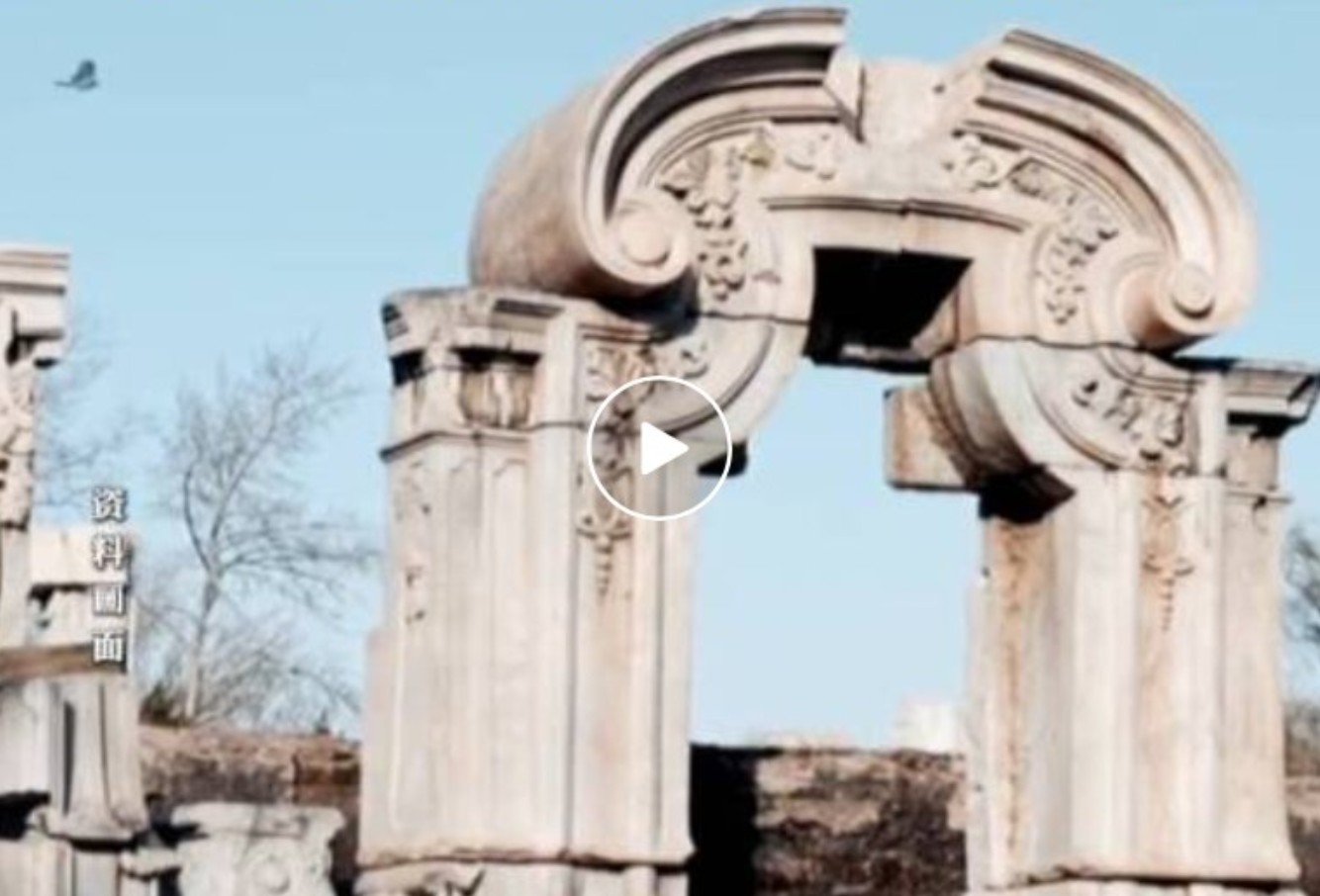 法国全票通过！“将不义之财归还中国”